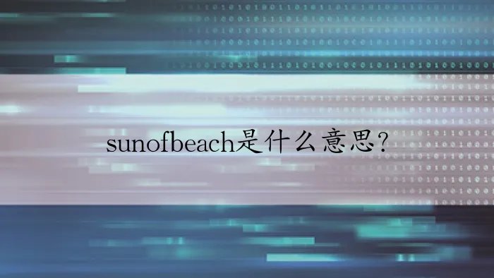 sunofbeach是什么意思？