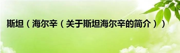 斯坦（海尔辛（关于斯坦海尔辛的简介））