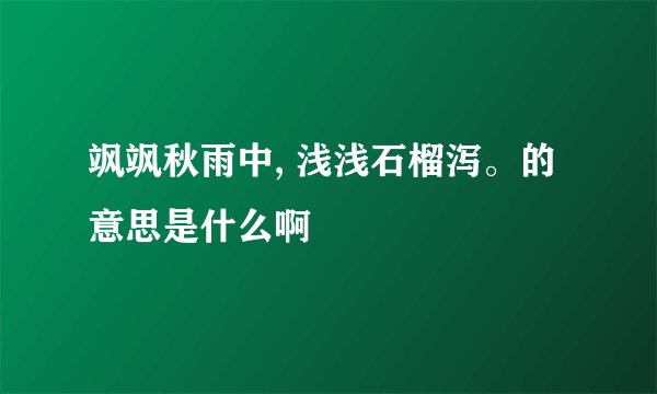 飒飒秋雨中, 浅浅石榴泻。的意思是什么啊