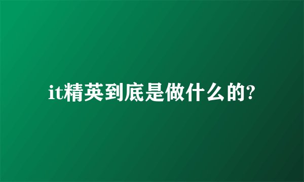 it精英到底是做什么的?