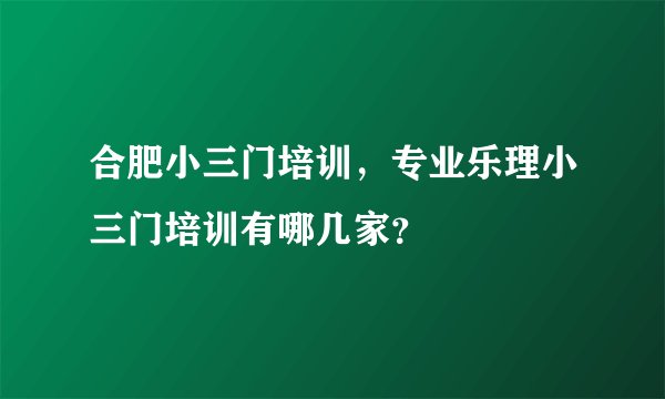 合肥小三门培训，专业乐理小三门培训有哪几家？