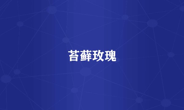 苔藓玫瑰