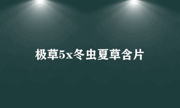 极草5x冬虫夏草含片