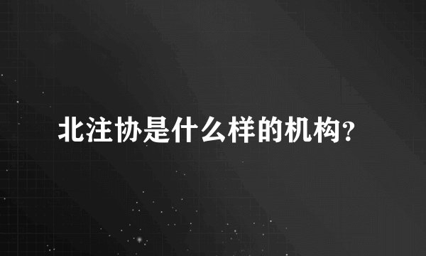 北注协是什么样的机构？