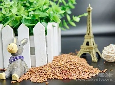 苦荞茶的功效与作用及食用方法