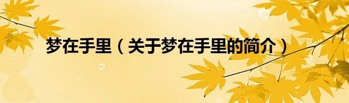 梦在手里（关于梦在手里的简介）