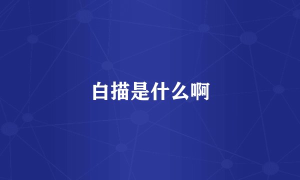 白描是什么啊