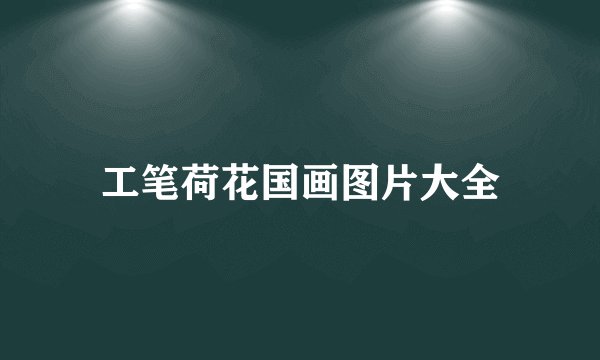工笔荷花国画图片大全