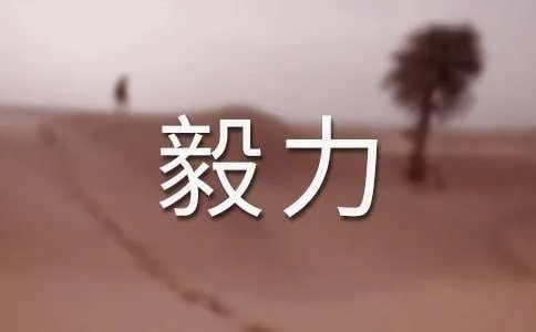 毅力作文