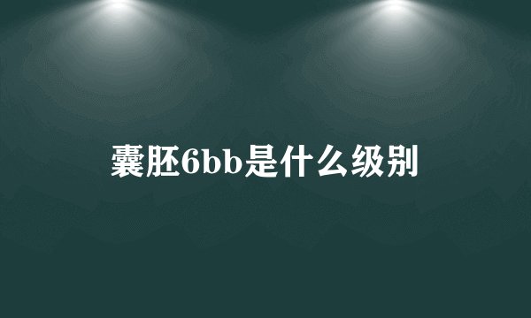 囊胚6bb是什么级别