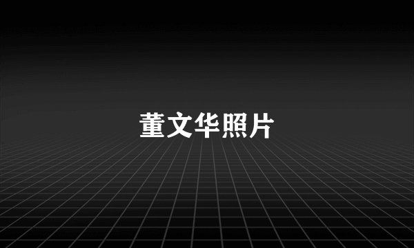 董文华照片