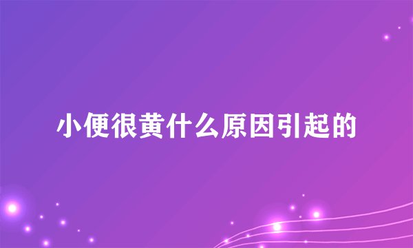 小便很黄什么原因引起的