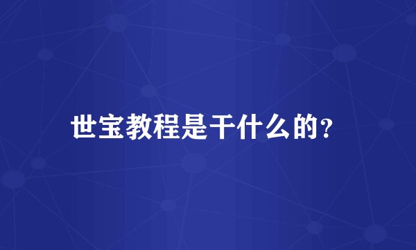 世宝教程是干什么的?