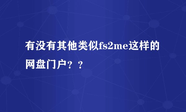 有没有其他类似fs2me这样的网盘门户？？