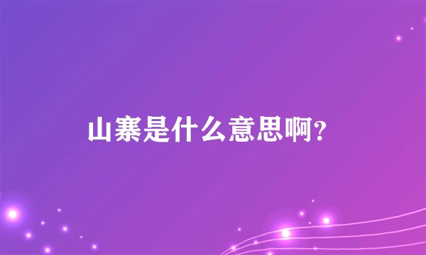 山寨是什么意思啊？
