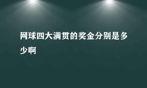 网球四大满贯的奖金分别是多少啊