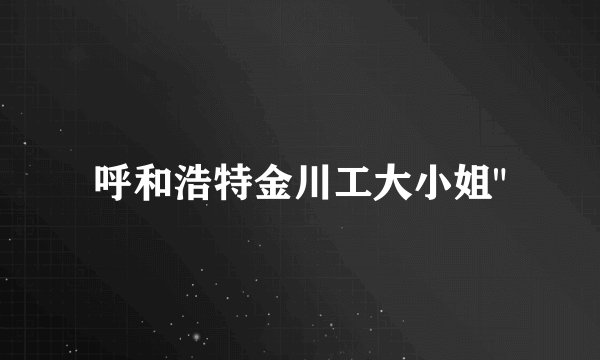 呼和浩特金川工大小姐