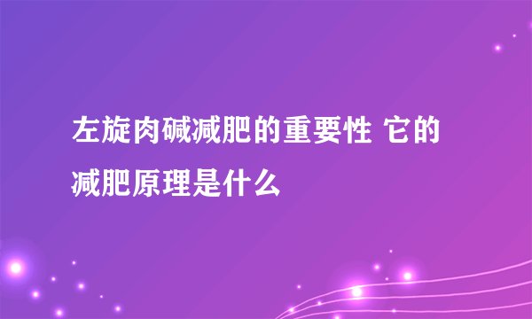 左旋肉碱减肥的重要性 它的减肥原理是什么