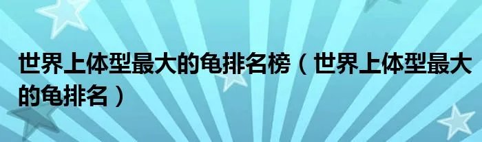 世界上体型最大的龟排名榜（世界上体型最大的龟排名）