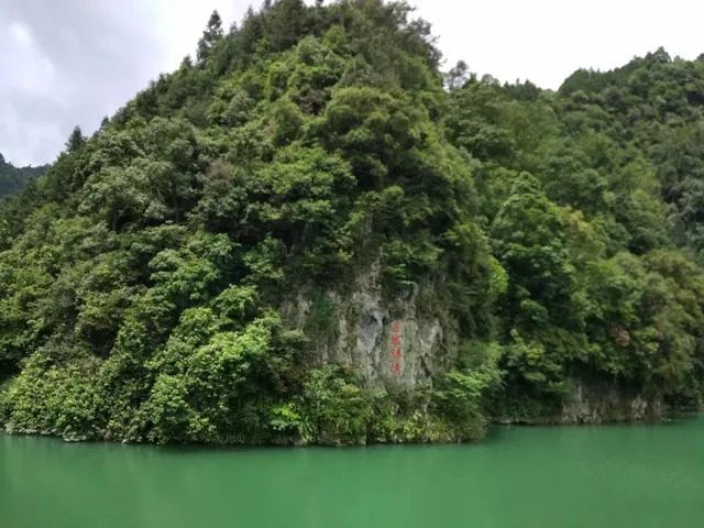 吴昕微博晒自拍并附文“拍出全智贤的感觉了吗”,你怎么看?