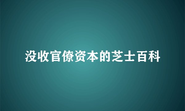 没收官僚资本的芝士百科
