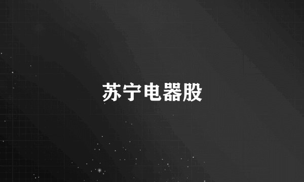 苏宁电器股