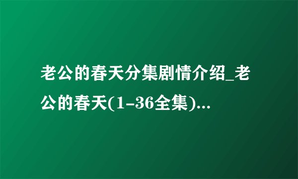 老公的春天分集剧情介绍_老公的春天(1-36全集)剧情简介