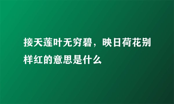 接天莲叶无穷碧，映日荷花别样红的意思是什么