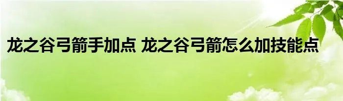 龙之谷弓箭手加点 龙之谷弓箭怎么加技能点