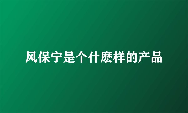 风保宁是个什麽样的产品