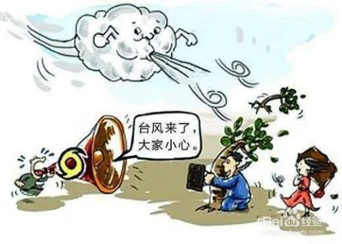 台风天如何避险