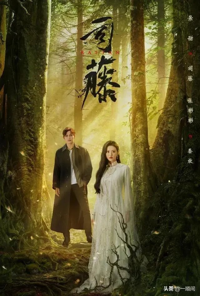 张彬彬真实年龄?