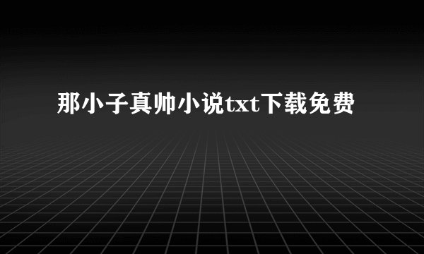 那小子真帅小说txt下载免费
