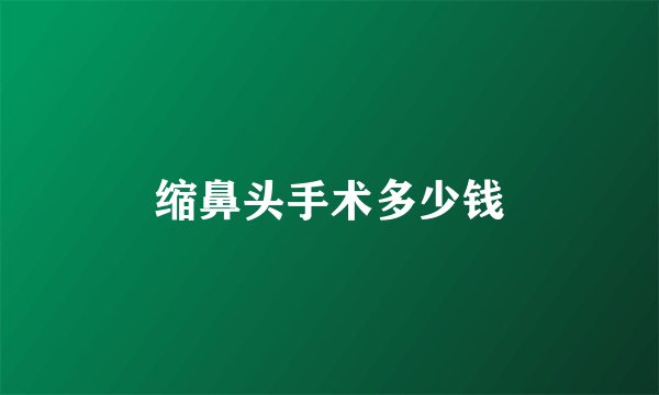 缩鼻头手术多少钱