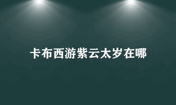 卡布西游紫云太岁在哪
