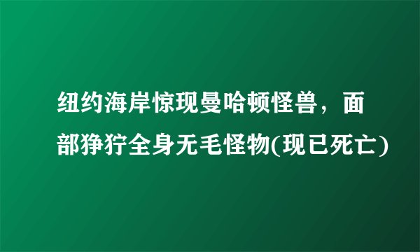 纽约海岸惊现曼哈顿怪兽,面部狰狞全身无毛怪物(现已死亡)