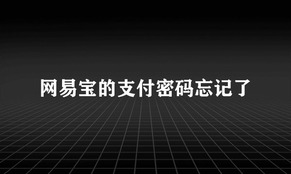 网易宝的支付密码忘记了