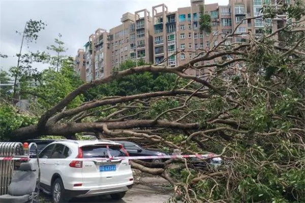 世界上最强台风排名：诺拉上榜 ，第四损失了6.94亿美元
