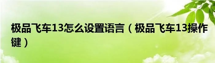 极品飞车13怎么设置语言（极品飞车13操作键）