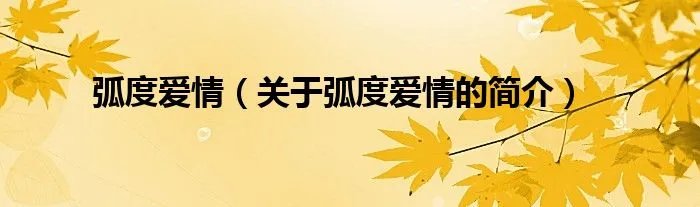弧度爱情（关于弧度爱情的简介）