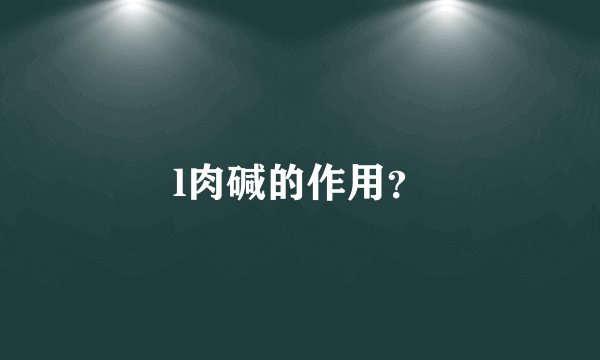 l肉碱的作用？