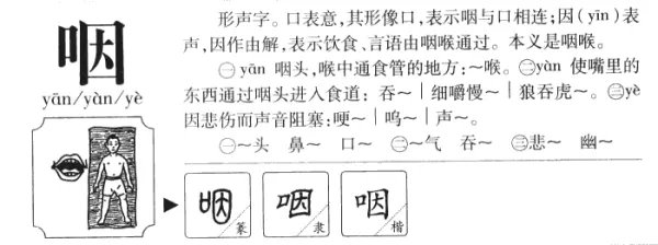 咽是什么意思？