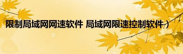 限制局域网网速软件 局域网限速控制软件)