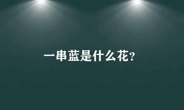 一串蓝是什么花？