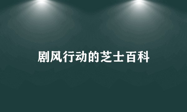 剧风行动的芝士百科