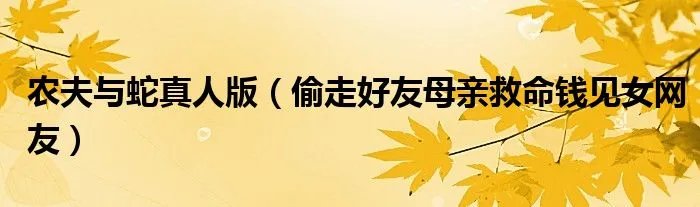 农夫与蛇真人版(偷走好友母亲救命钱见女网友)