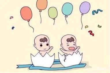 取卵过程