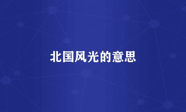 北国风光的意思