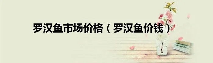 罗汉鱼市场价格（罗汉鱼价钱）