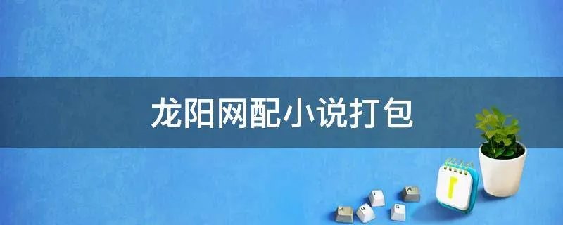 龙阳网配小说打包